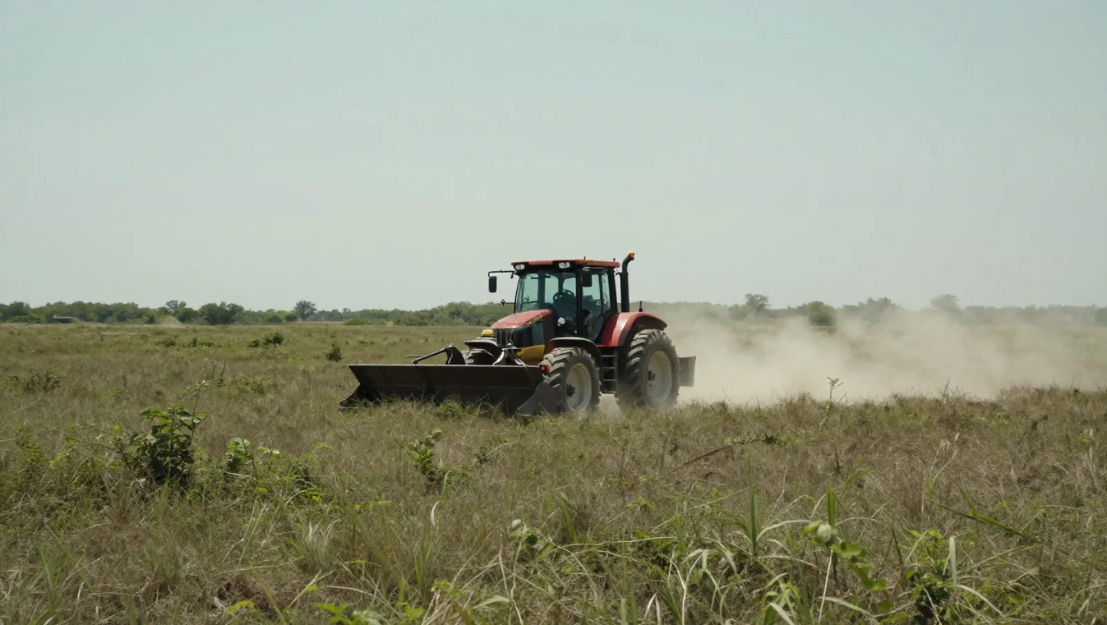 Red tractor plows tall grass on open field, kicking up dust — Daniel Dean Land Clearing, Southeast Texas