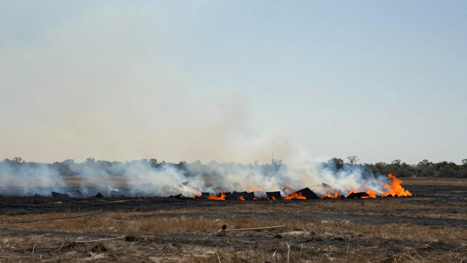 Controlled fire spreads across dry grassland terrain without visible machinery — Daniel Dean Land Clearing, Southeast Texas