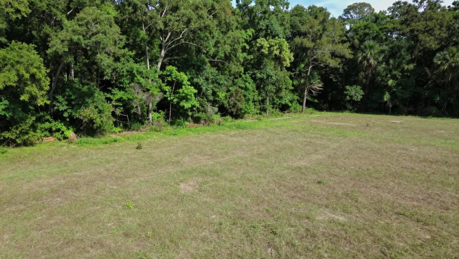 No machinery present; flat grassy terrain borders dense forest with no visible work being done — Daniel Dean Land Clearing, Southeast Texas