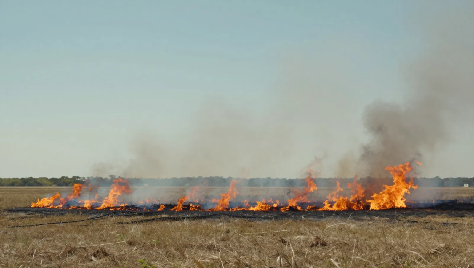 Controlled burn burns dry grass across an open field; work uses no visible machinery for wildfire management — Daniel Dean Land Clearing, Southeast Texas