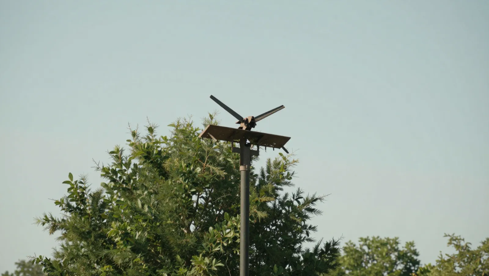 Wind sensor on pole above trees in rural terrain measures atmospheric conditions — Daniel Dean Land Clearing, Southeast Texas
