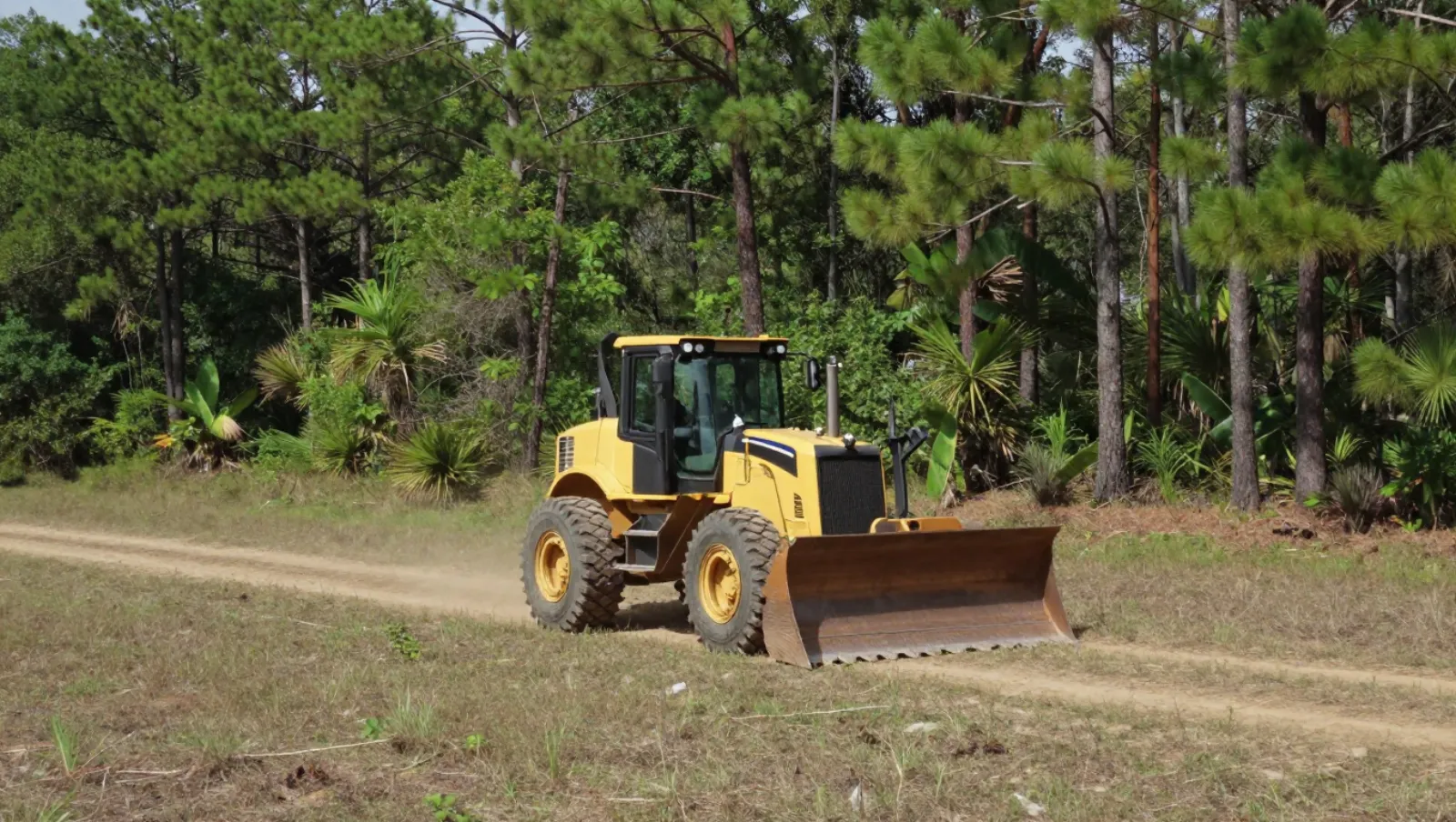 Yellow bulldozer moves earth on a grassy dirt road near forested area — Daniel Dean Land Clearing, Southeast Texas
