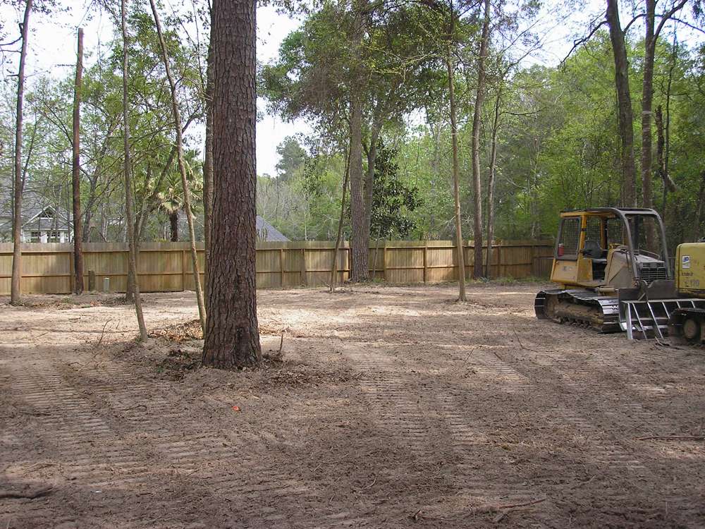 Brush removal service clearing dense vegetation