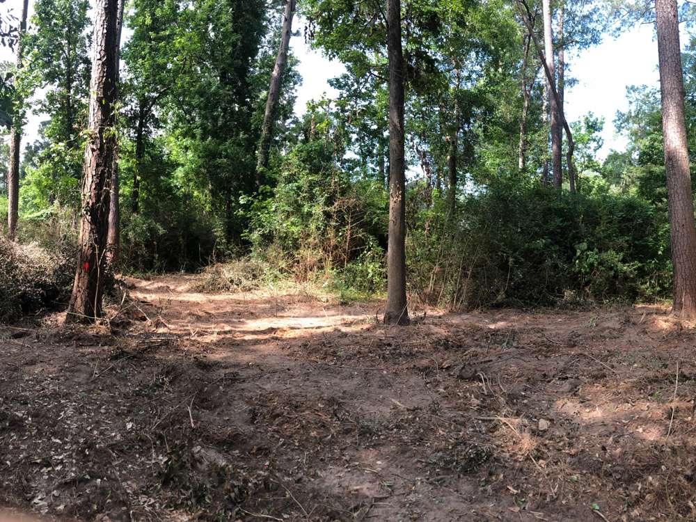 Brush-Removed,-Trees-Selected-for-Removal-for-Pad-Site