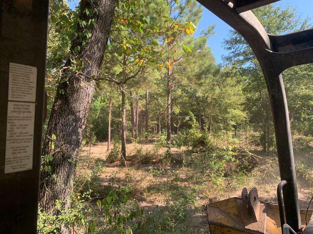 View from the cab of a bulldozer clearing underbrush on a wooded Southeast Texas property, with the larger pines left standing